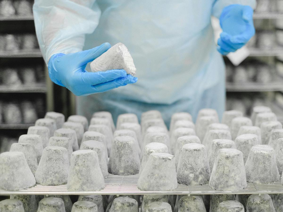 ¿Qué es un analista de&nbsp;calidad?